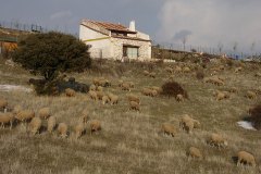 Rehabilitación antiguo palomar en vivienda unifamiliar
